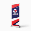Executive Roll-Up Banner
